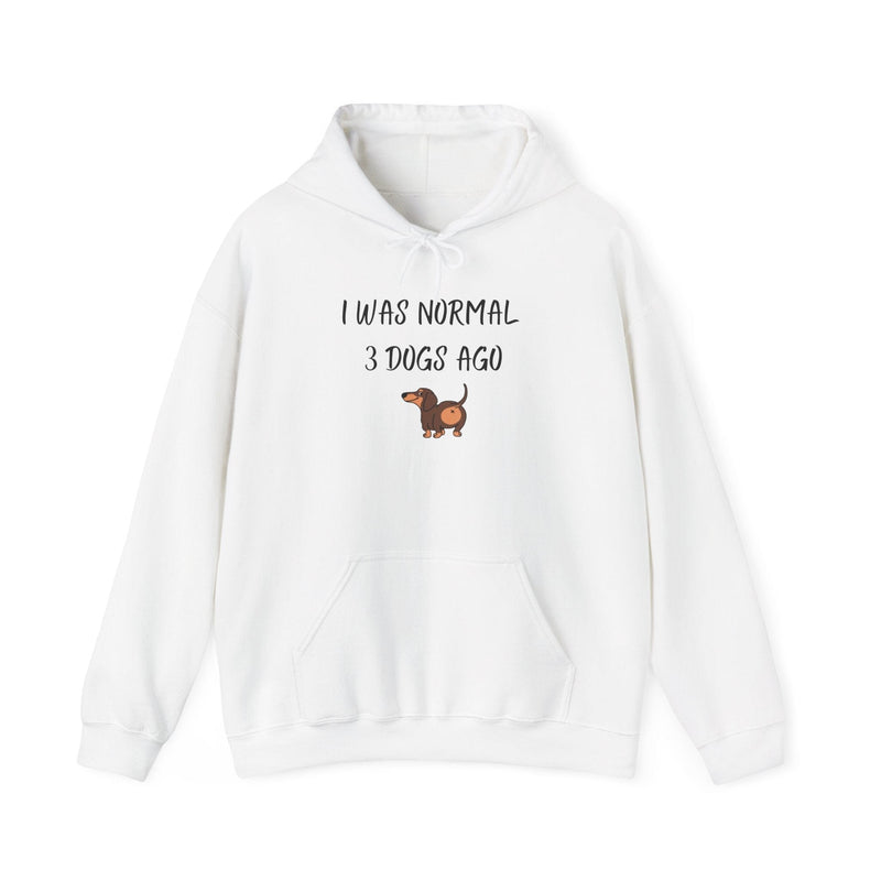 I Was Normal 3 Dogs Ago Hoodie - PetXcite