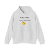 In Dog Years, I Should Be Napping Already Hoodie - PetXcite