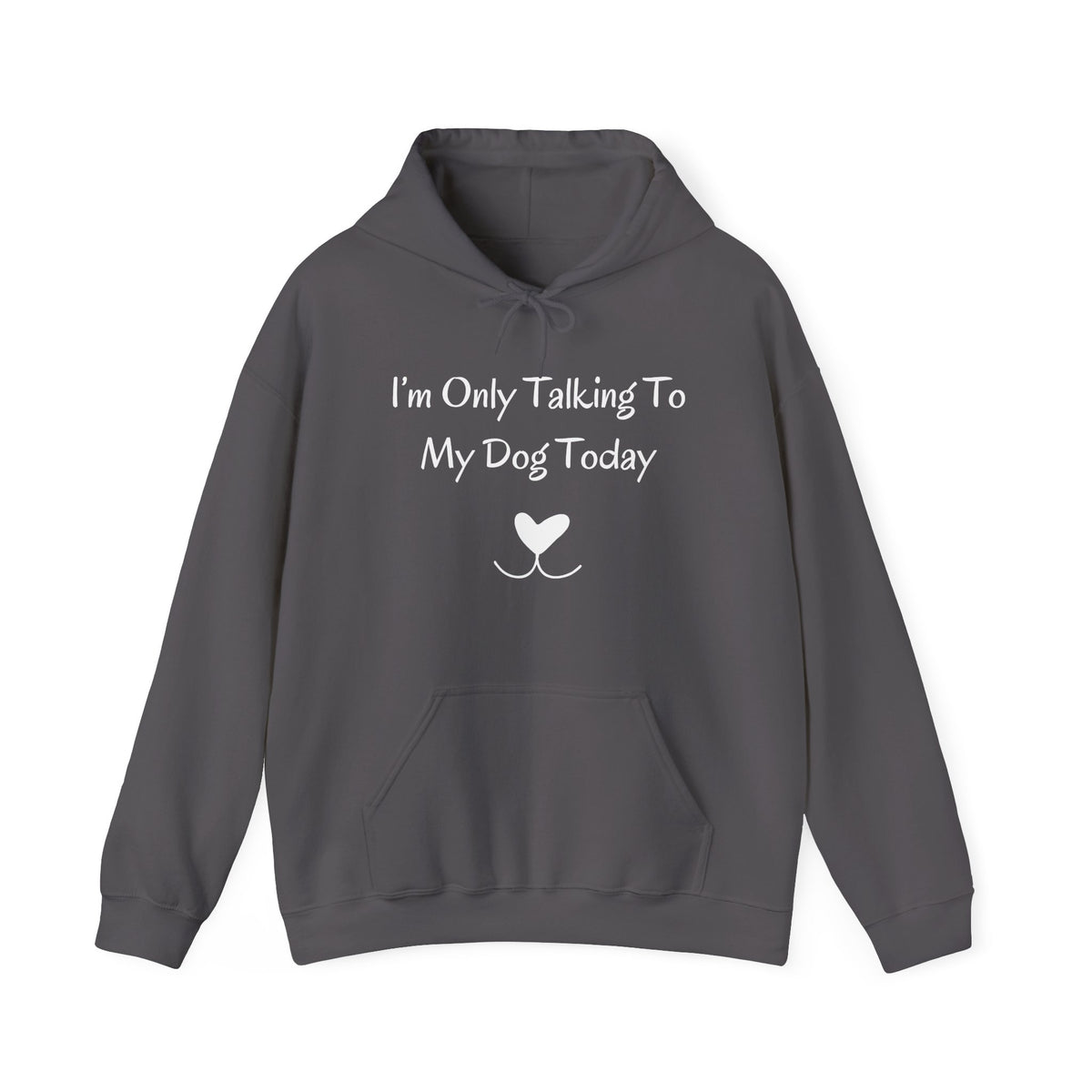 I'm Only Talking To My Dog Today Hoodie in Charcoal