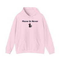 Meow Or Never Hoodie - PetXcite