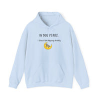 In Dog Years, I Should Be Napping Already Hoodie - PetXcite