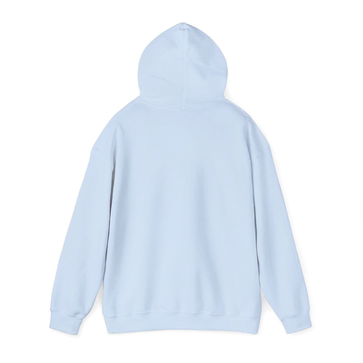 My Comfort Zone Has Four Paws Hoodie