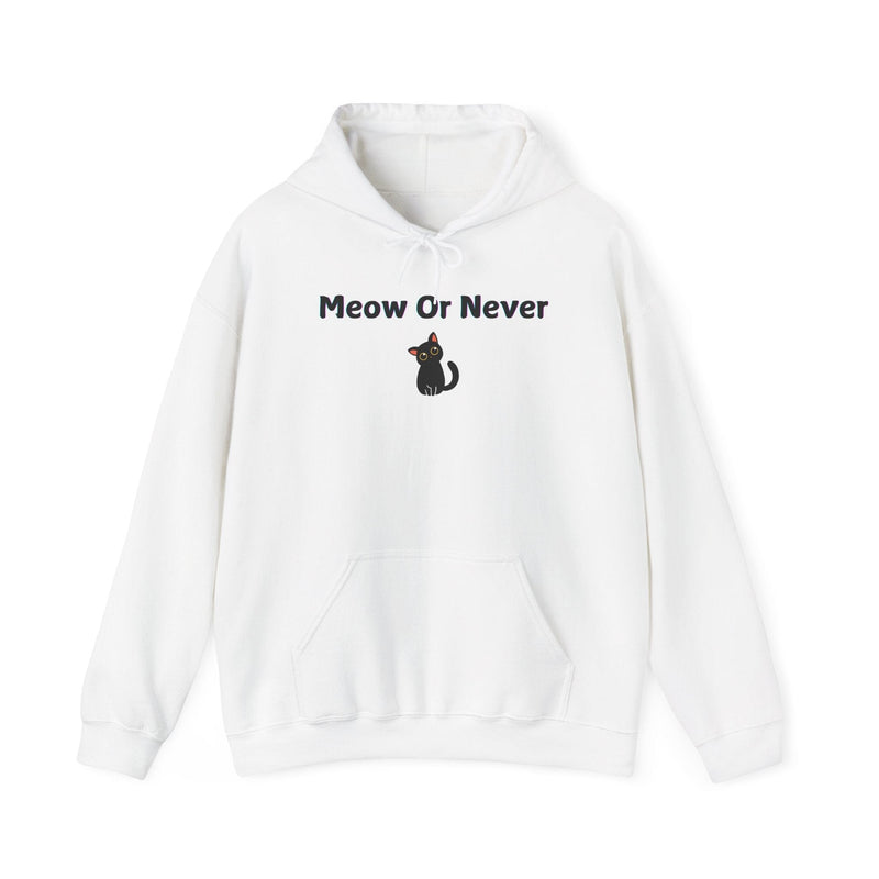 Meow Or Never Hoodie - PetXcite