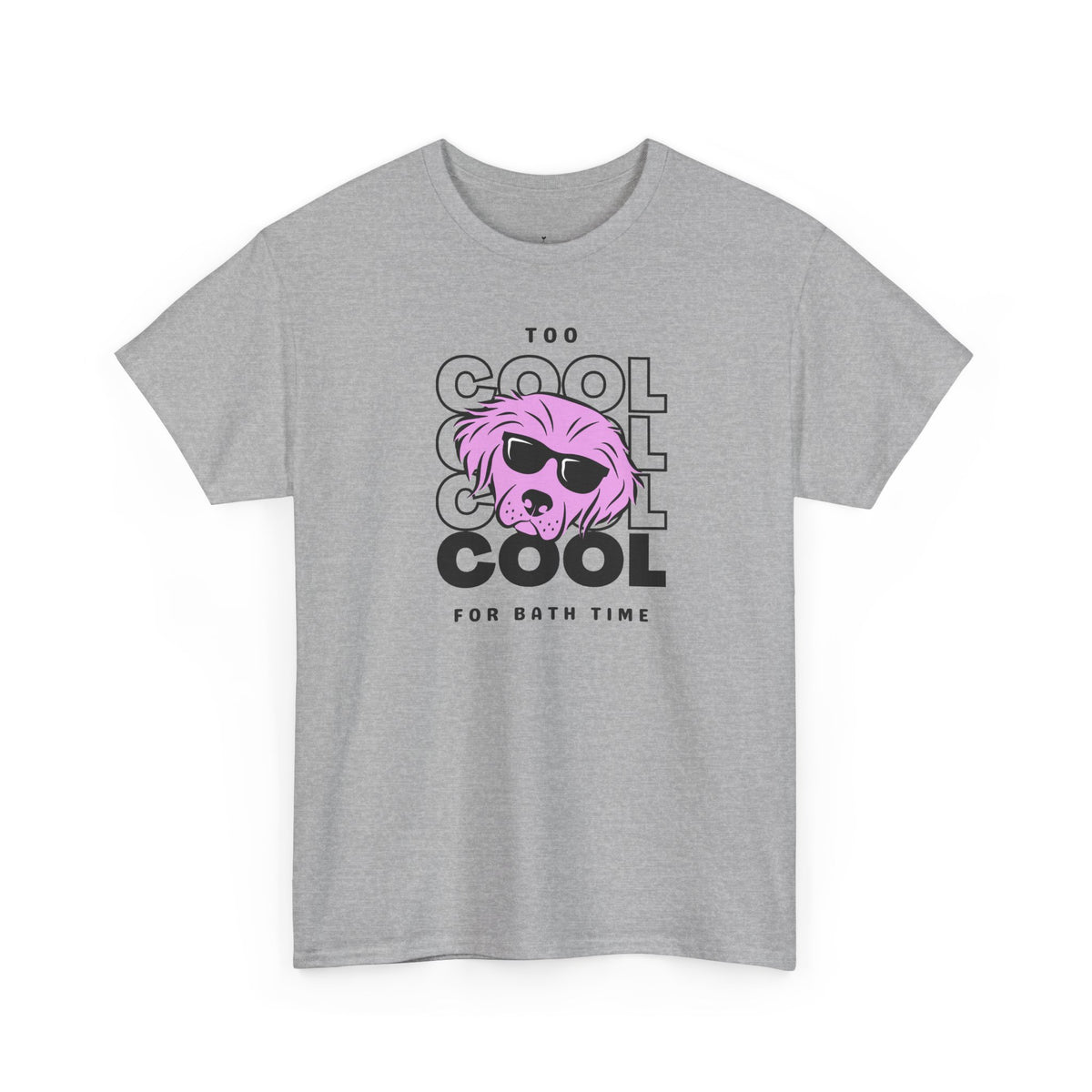 Too Cool For Bath Time T-Shirt in Sport Grey