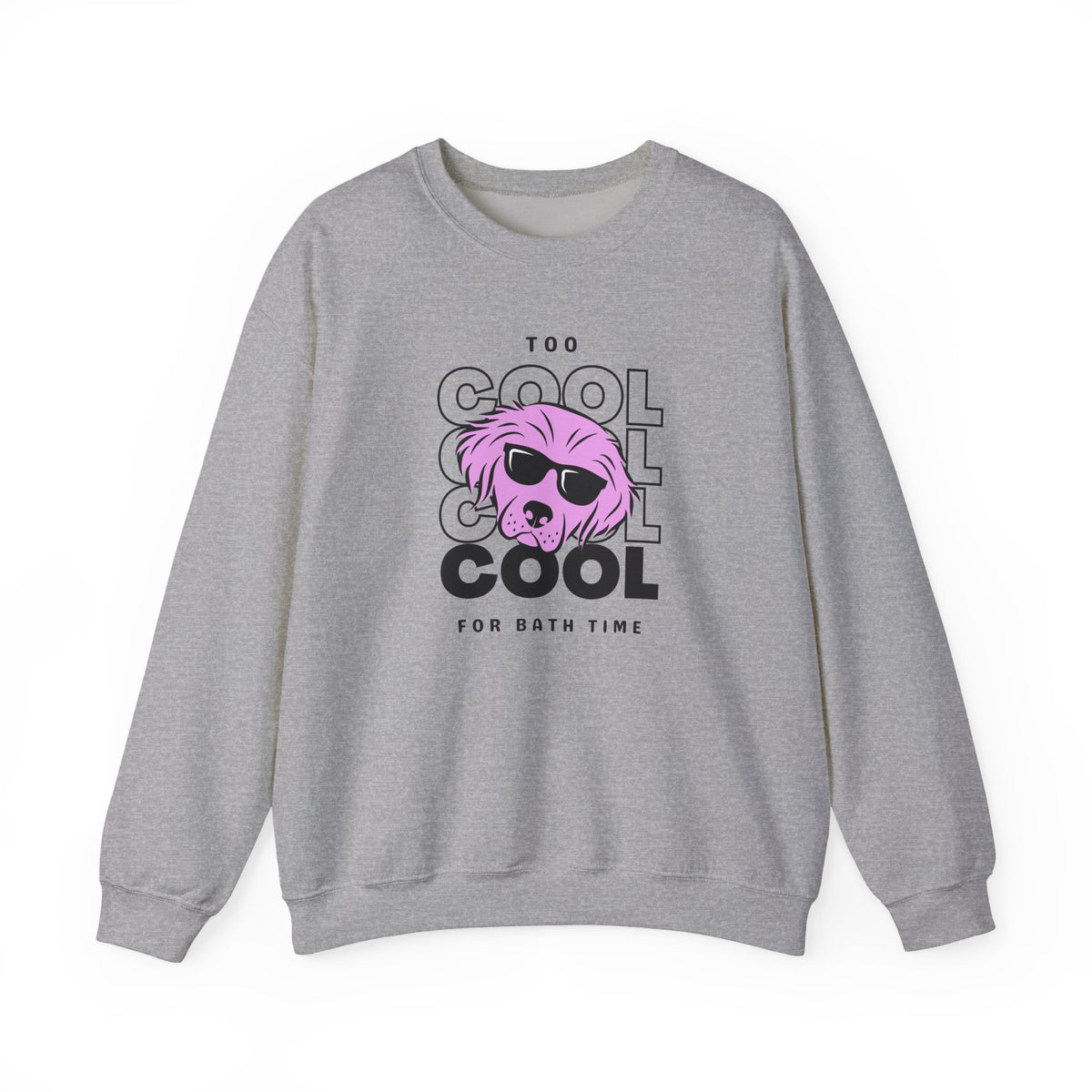 Too Cool For Bath Time Sweatshirt in Sport Grey